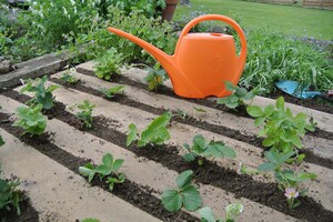 L_20220421_2_De hapklare moestuin_verkleind 1