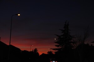 20230901_fot_sunsetbelly_verkleind 1
