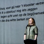 Surfer Rosa Begijntje - Het nieuwstedelijk (c) Boumediene Belbachir